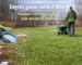 Application d’un engrais gazon de sortie d’hiver avec un épandeur sur une pelouse au printemps pour accélérer le verdissement et densifier le gazon.