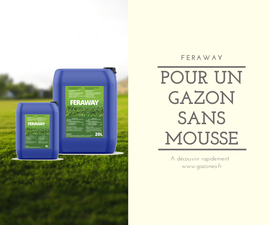 Anti-Mousse Gazon – Ferber Espaces Verts