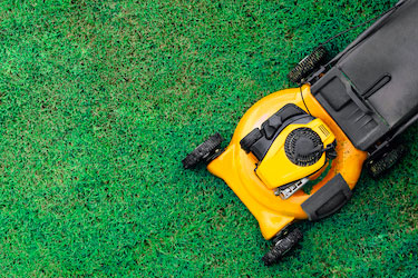 Bien scarifier en 4 étapes - Blog gazon