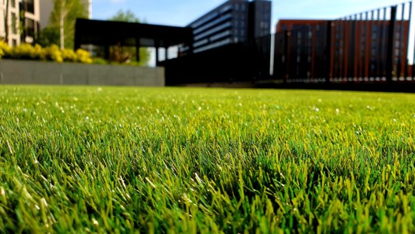 Entretien de la pelouse au printemps