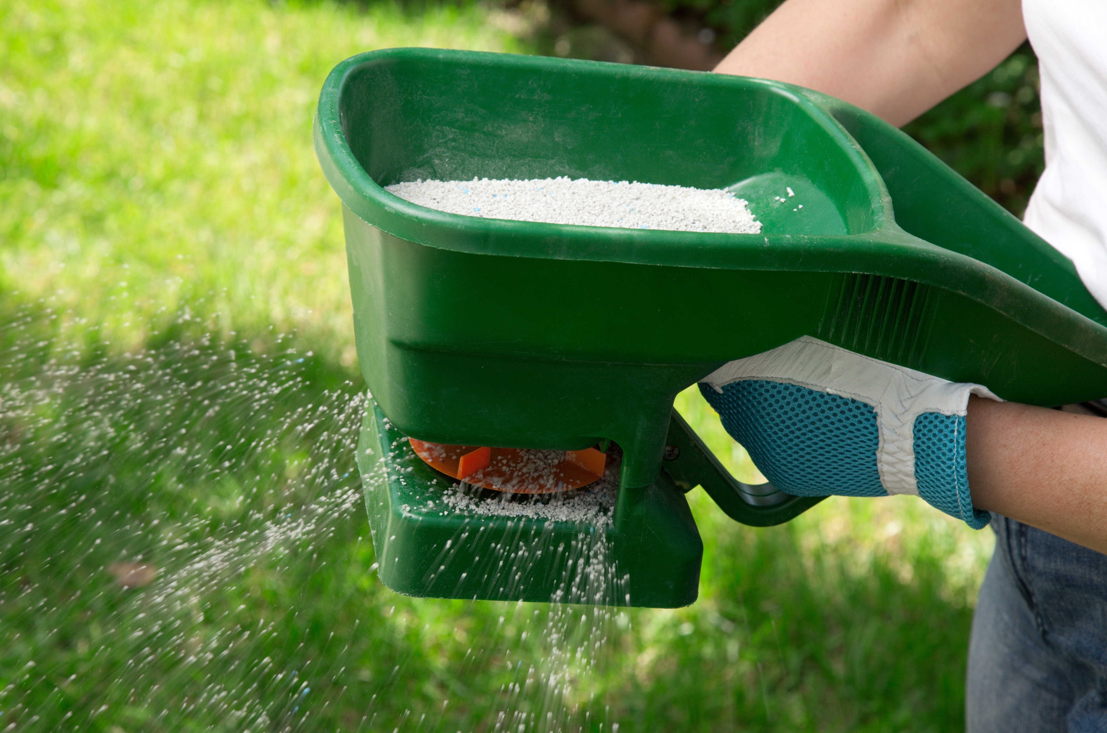 Doit-on fertiliser le gazon chaque année avec des engrais ?