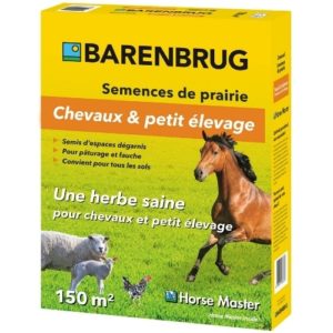 Semence prairie chevaux et petit élevage Horse master Barenbrug boite de 1,5 kg pour couvrir 150 m²