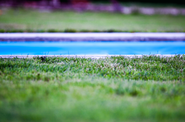 Gazon naturel autour de la piscine