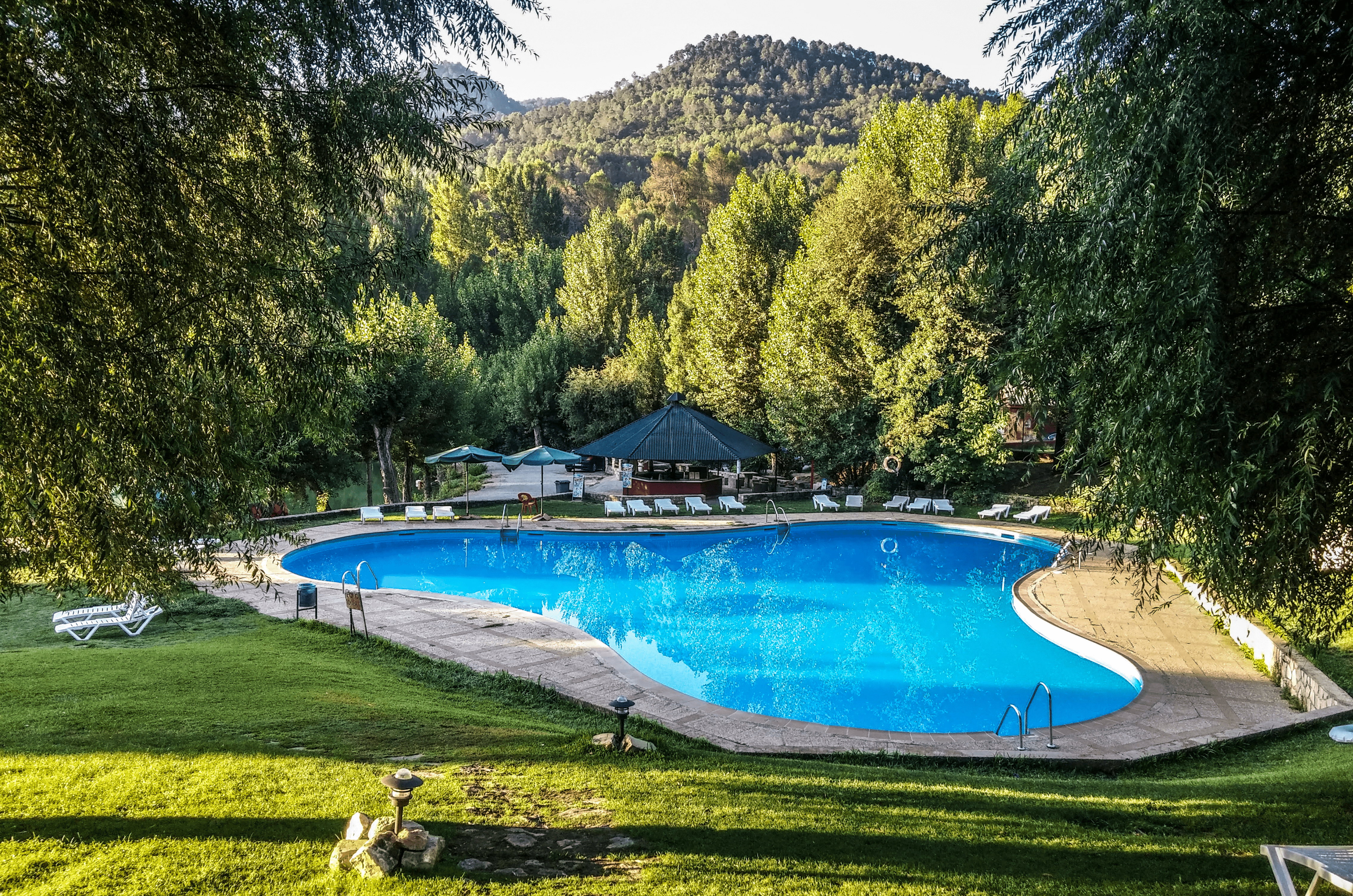 Piscine avec pelouse autour : c'est possible !