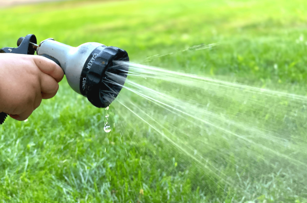 Gazon après canicule : 7 étapes pour le sauver