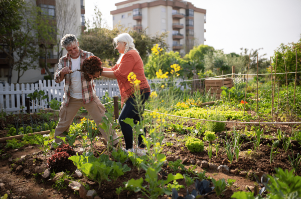 Aménager un coin potager