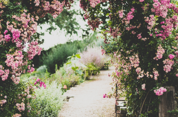 Construire une allée dans son jardin