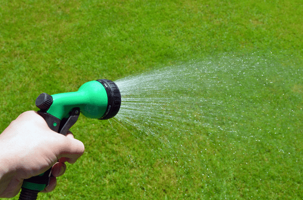 Un arroseur automatique projetant de l'eau sur un terrain fraîchement semé, faisant pousser un jeune gazon verdoyant et luxuriant.