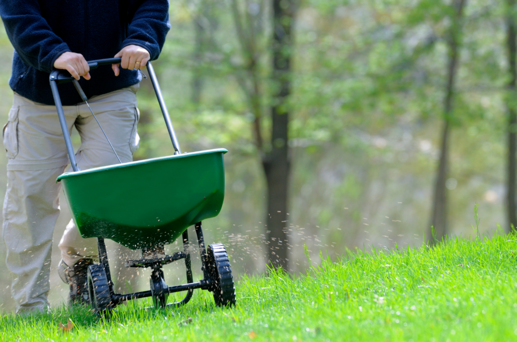 Optimisez la santé de votre pelouse : découvrez pourquoi la fertilisation automnale est cruciale pour maintenir un gazon verdoyant et résilient. Nos experts dévoilent les secrets d'une pelouse luxuriante tout au long de l'année. Apprenez l'importance de la potasse et des engrais spécialement conçus pour renforcer les racines de votre pelouse en prévision de l'hiver. Découvrez nos conseils pour une fertilisation efficace et préparez-vous à admirer une pelouse florissante dès l'arrivée du printemps.