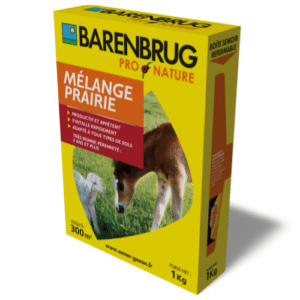 Prairie luxuriante issue du "Mélange Prairie", montrant diversité et robustesse.